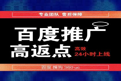 揭秘sem百度竞价背后的成功秘诀与案例